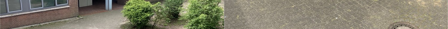 4 verschiedene Bilder von Schülergruppen die auf Tischen, Sportmatten oder dem Schulhof stehen.